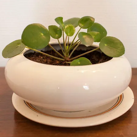 46fm : Отель типа 